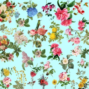 Chiara Coco Hummingbirds floral aqua  CC196-1 70cm