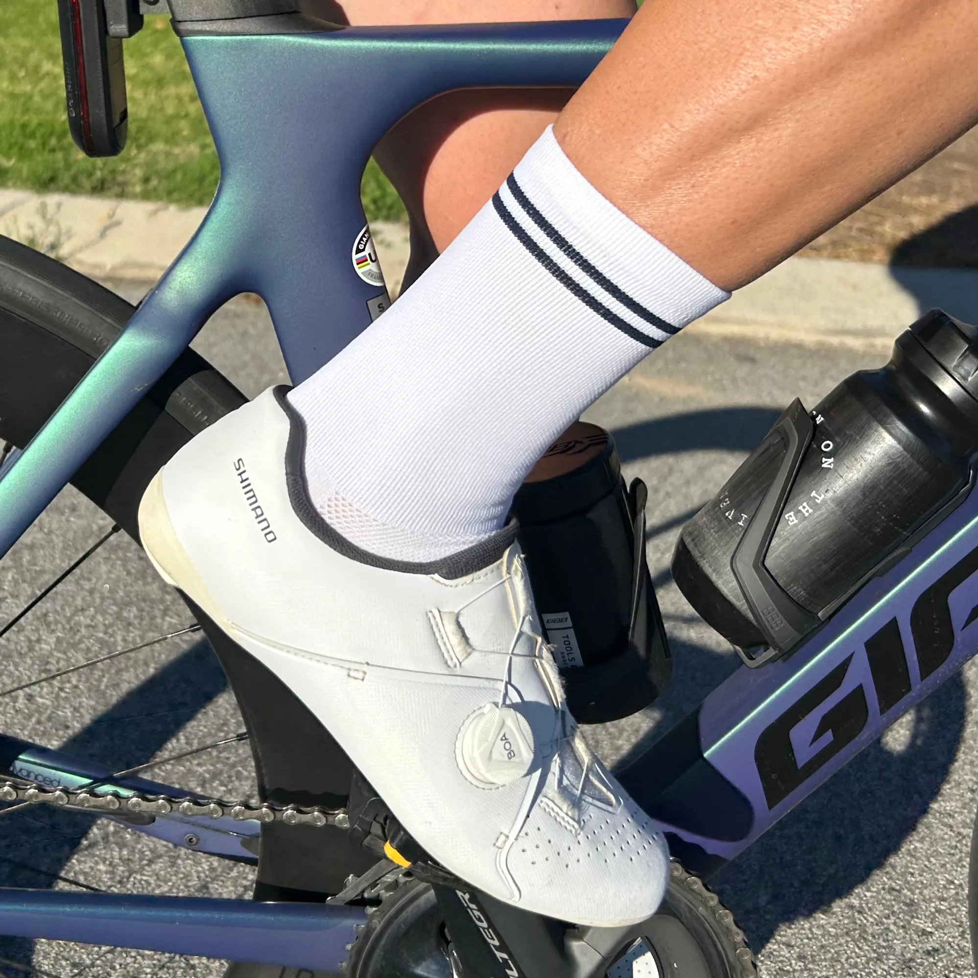 Classic Stripe Socks (White/Navy)